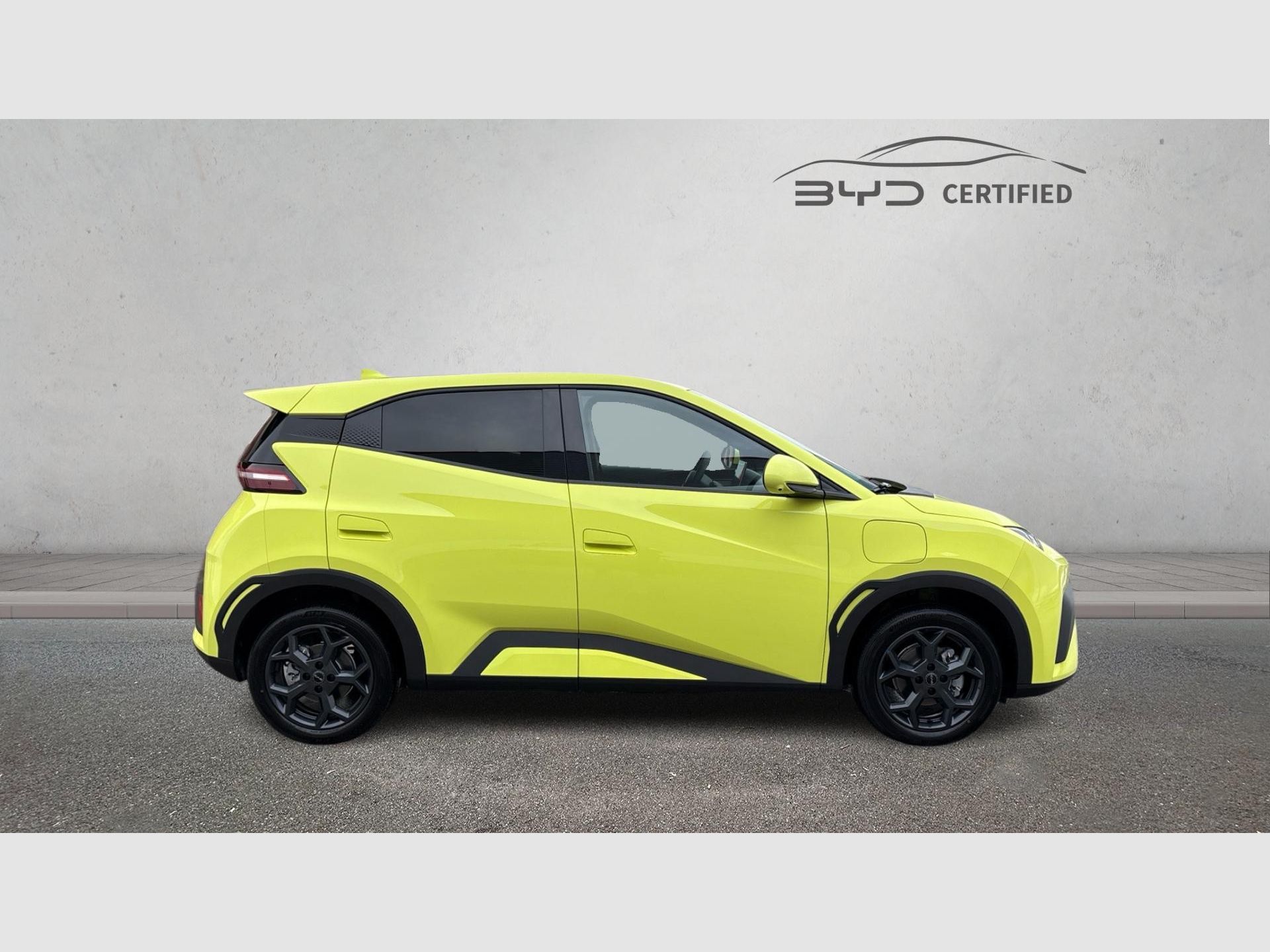 BYD Dolphin Surf - 6