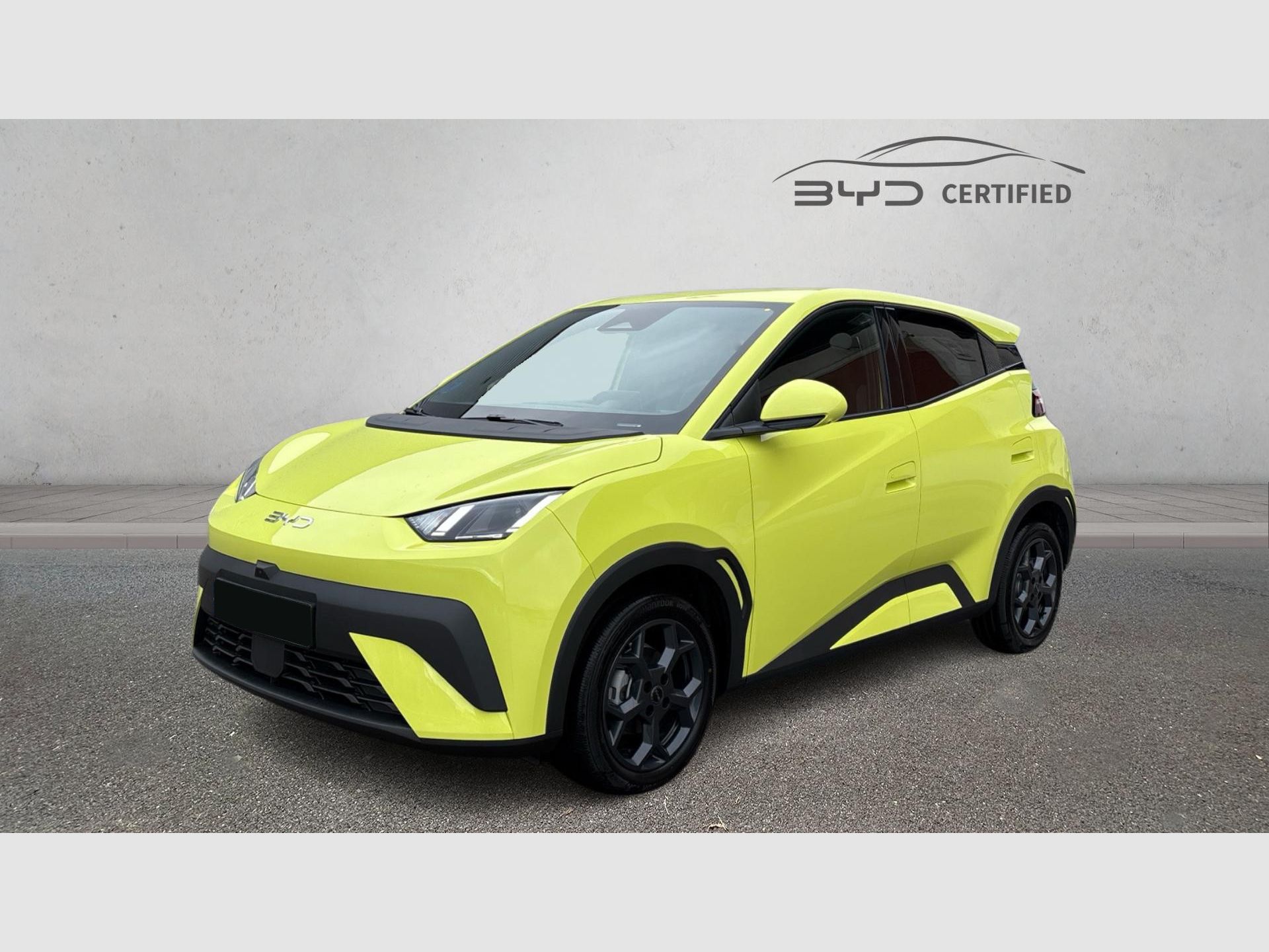 BYD Dolphin Surf - 2