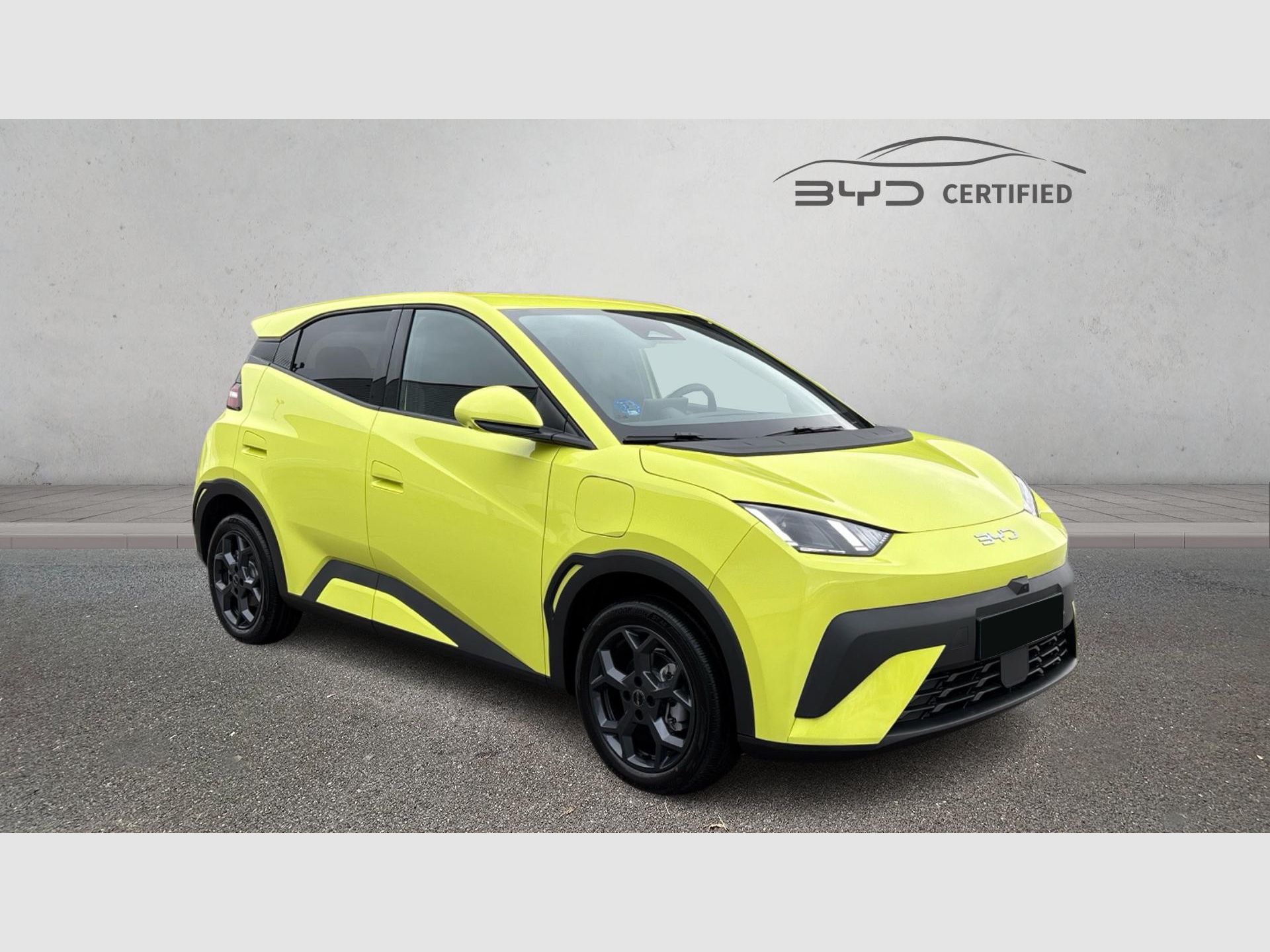 BYD Dolphin Surf - 7