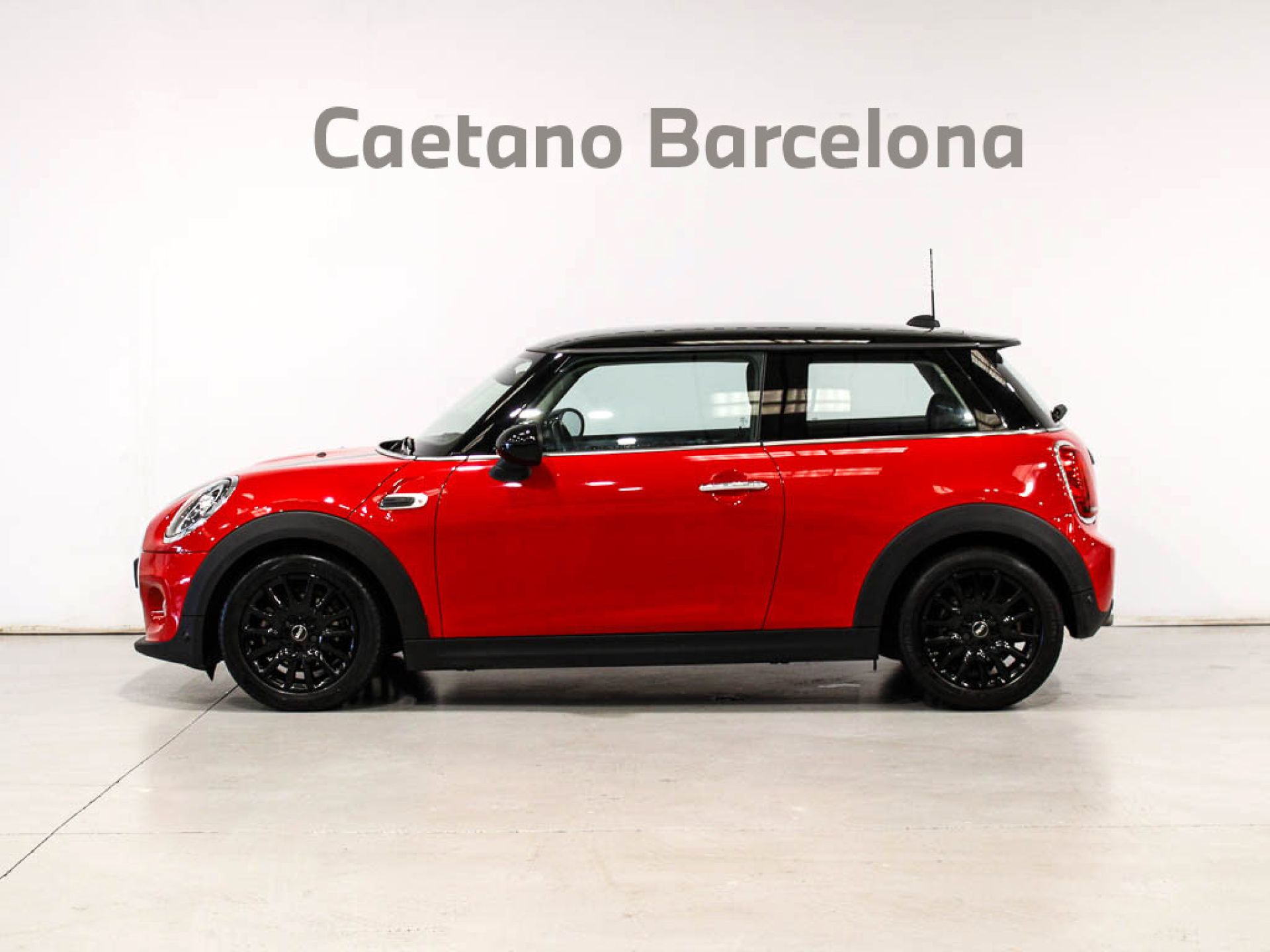 Mini Mini - 3