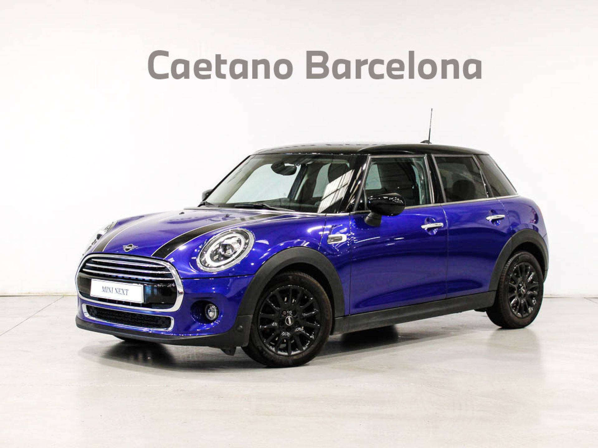 Mini Mini