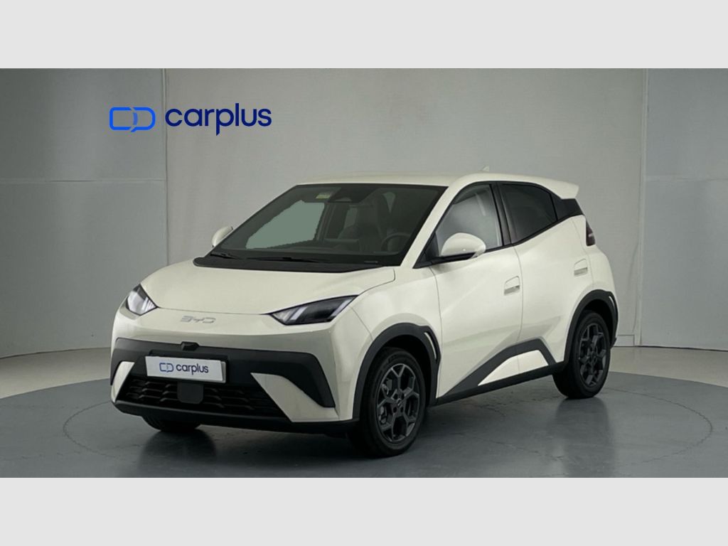 BYD Dolphin Surf