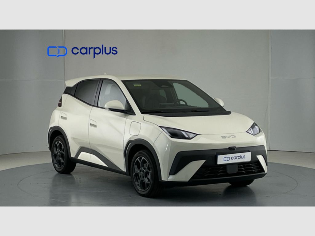 BYD Dolphin Surf - 2