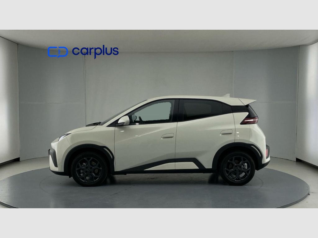 BYD Dolphin Surf - 4