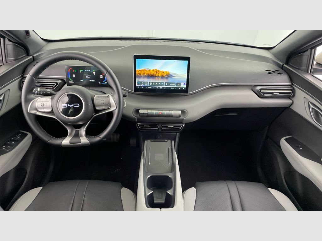 BYD Dolphin Surf - 10