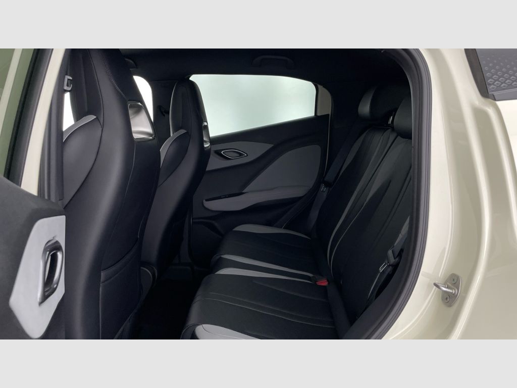BYD Dolphin Surf - 12