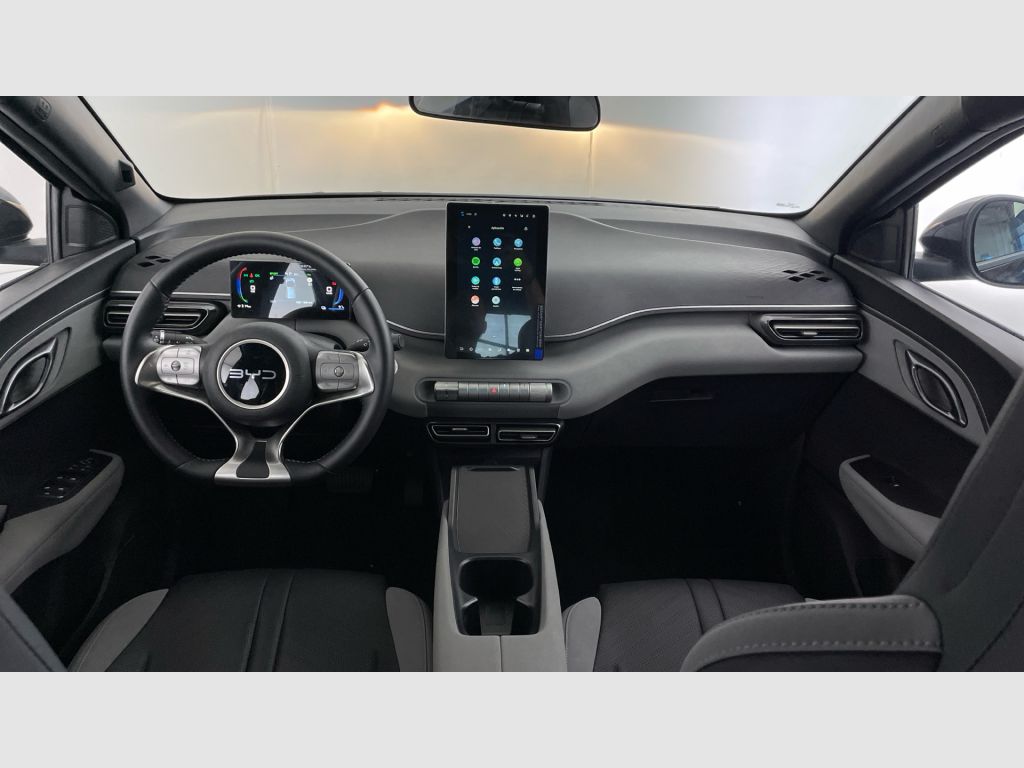 BYD Dolphin Surf - 10