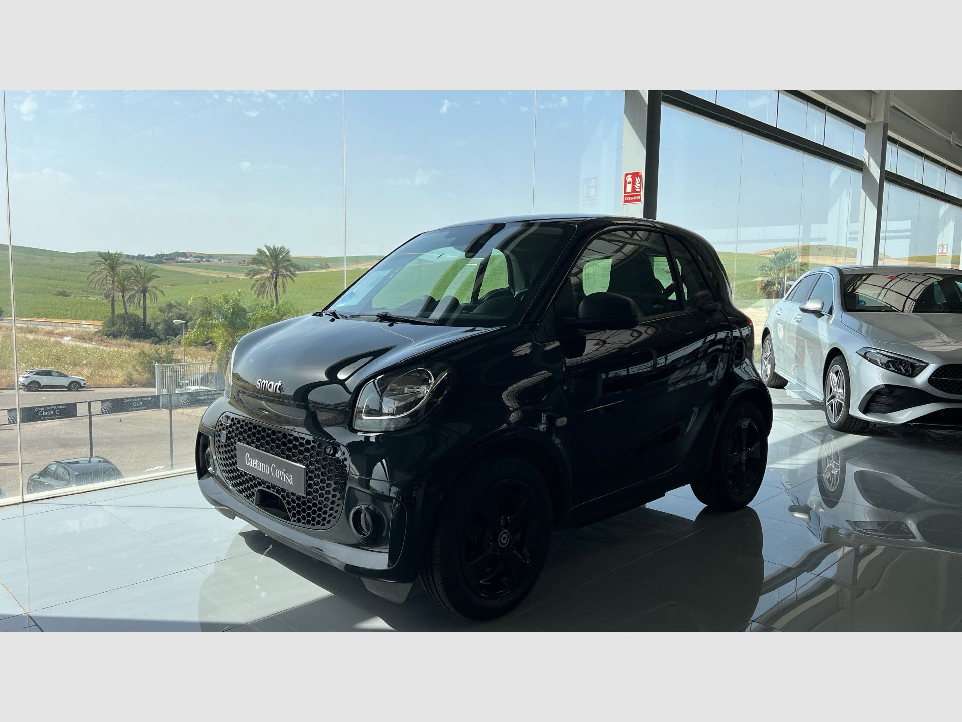 Smart Fortwo - 3