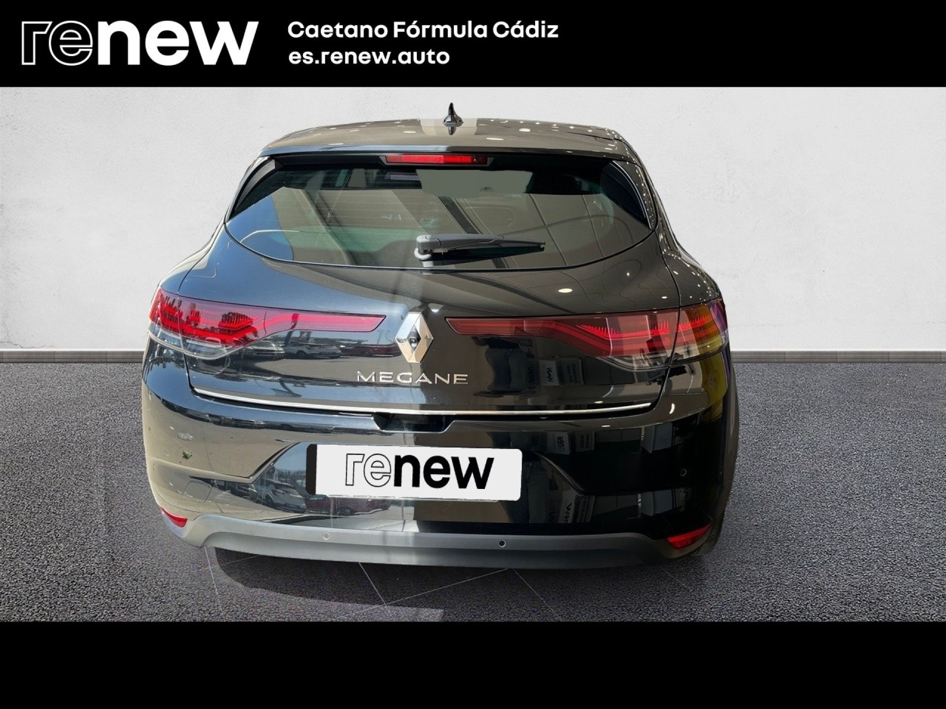 Renault Megane - 6