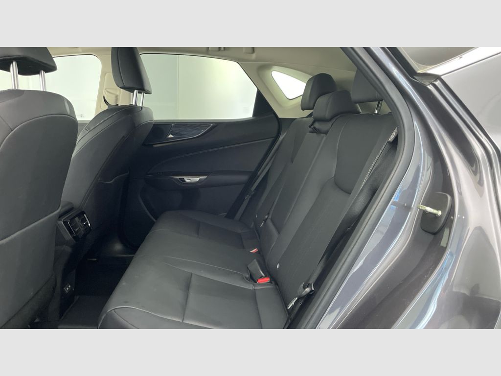 LEXUS NX - 12