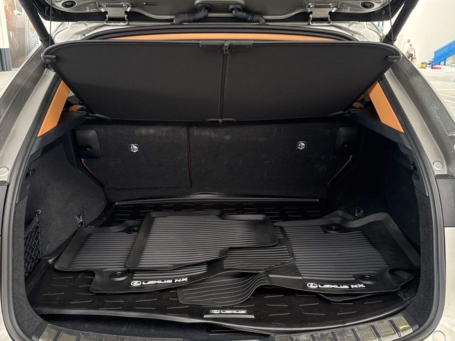 LEXUS NX - 12