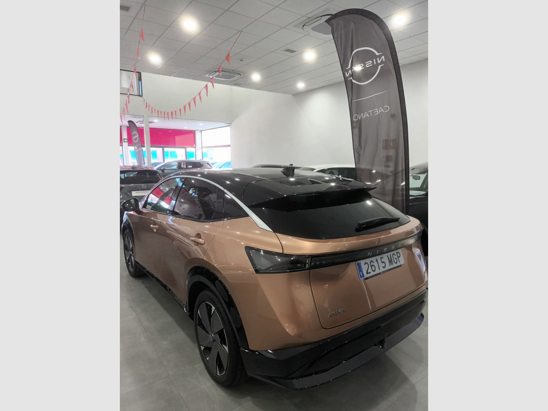 Nissan Ariya - 4