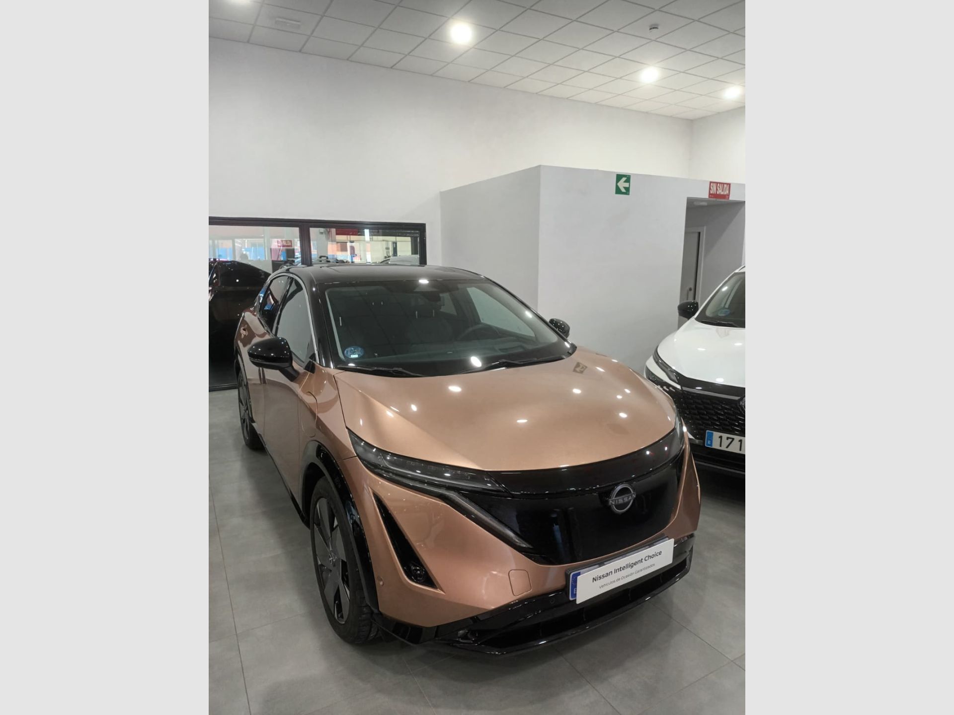 Nissan Ariya - 2