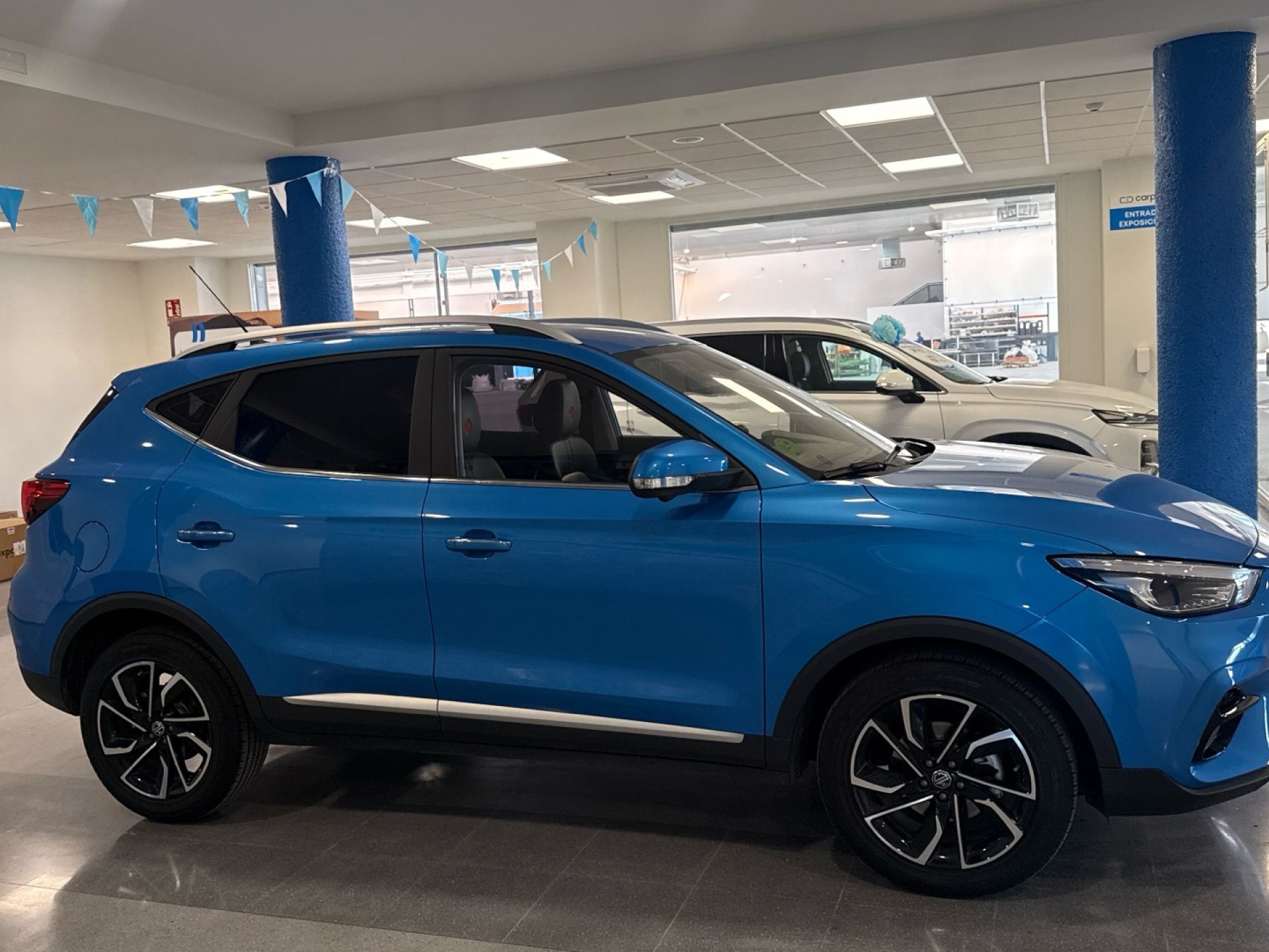 MG ZS - 8