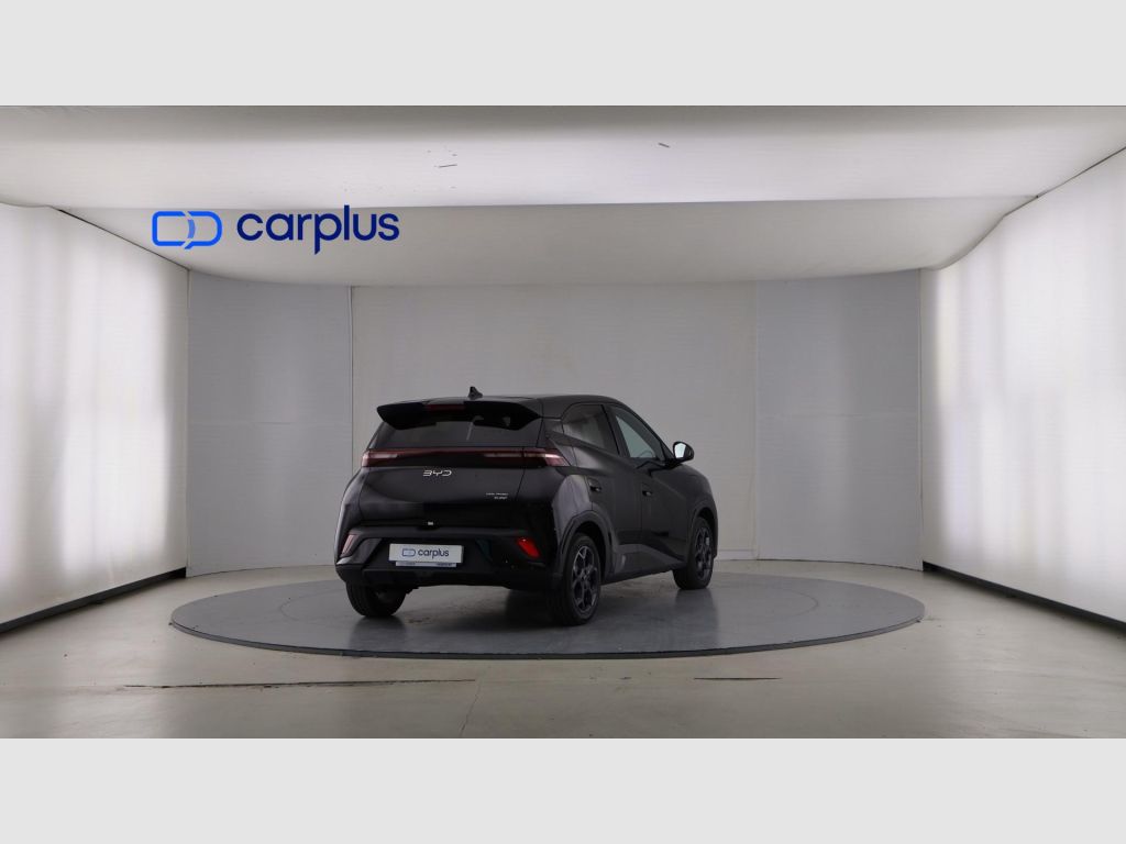 BYD Dolphin Surf - 2