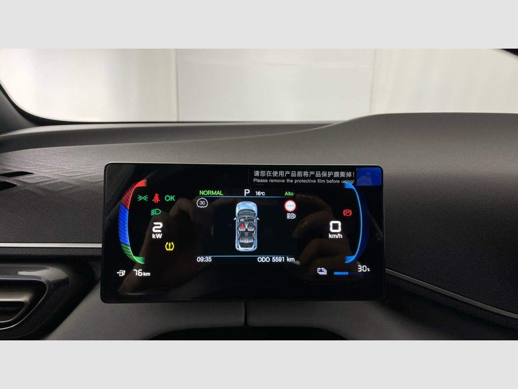 BYD Dolphin Surf - 9