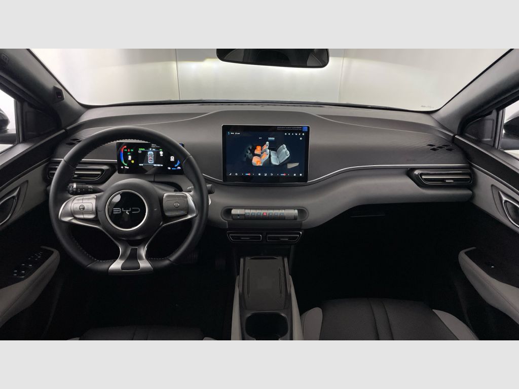 BYD Dolphin Surf - 10