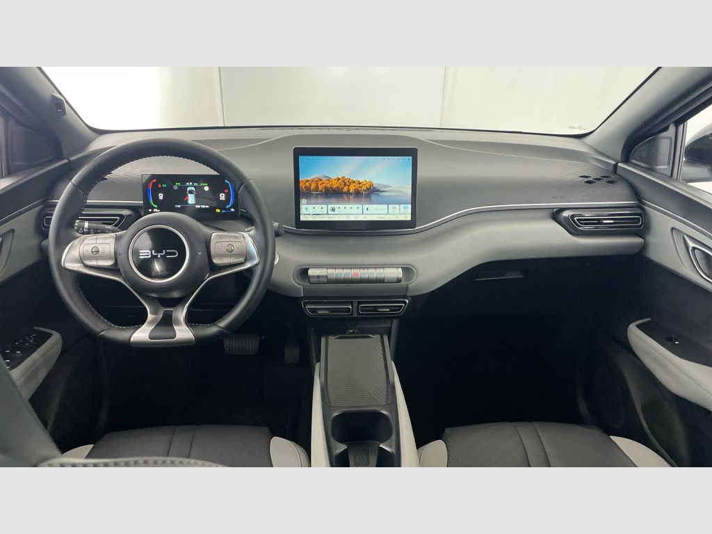 BYD Dolphin Surf - 11