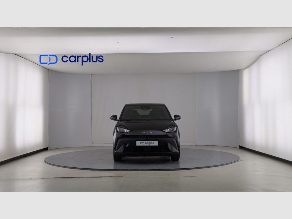 BYD Dolphin Surf - 3