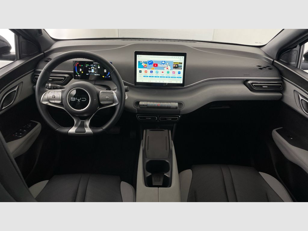 BYD Dolphin Surf - 10