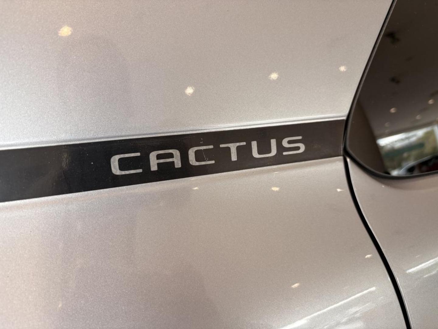 Citroen C4 Cactus C4 Cactus 1.2 PureTech S&S Feel 110