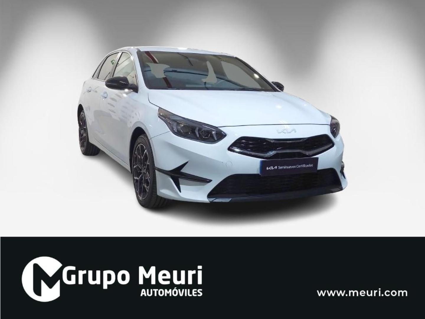 Kia Ceed 5p 1.0 T-GDi 100CV Style Edition