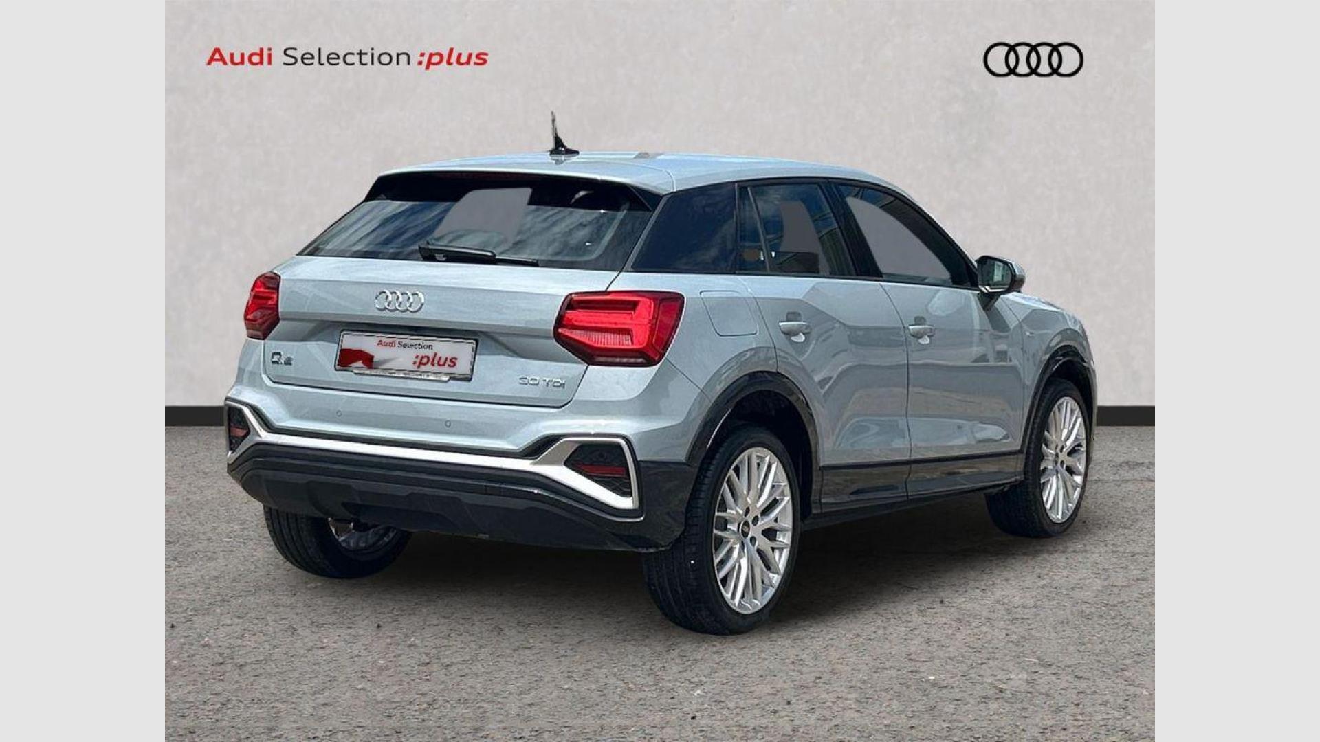 Audi Q2 Adrenalin Edition 30 TDI 85 kW (116 CV)