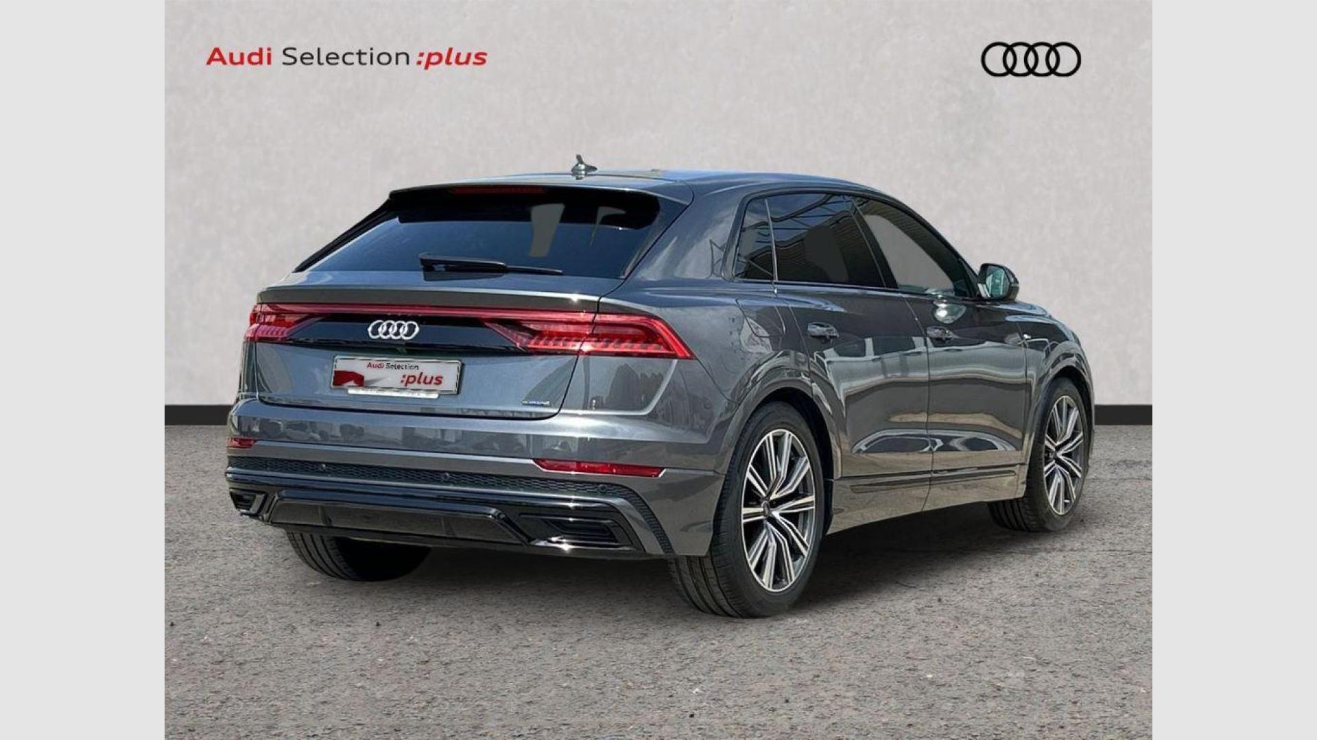 Audi Q8 S line 45 TDI quattro 170 kW (231 CV) tiptronic