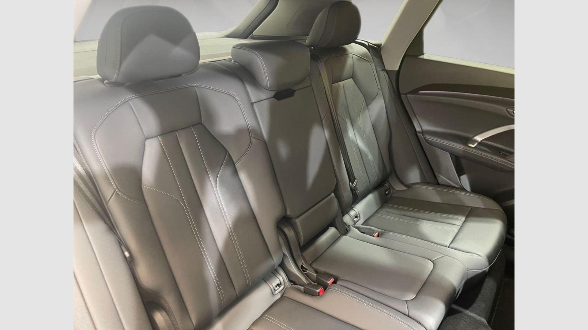 Audi Q5 Advanced TDI Quattro 150 kW (204 CV) S Tronic