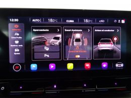 imagen swiper vehículo 30