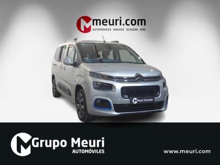 Citroen Berlingo segunda mano Vizcaya