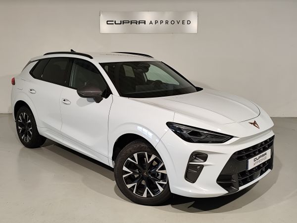 Cupra Terramar 1.5 eTSI 110kW (150 CV) DSG
