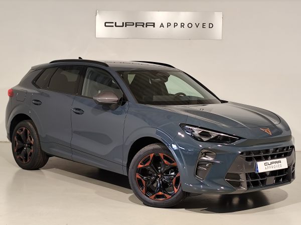 Cupra Terramar 1.5 eTSI 110kW (150 CV) DSG