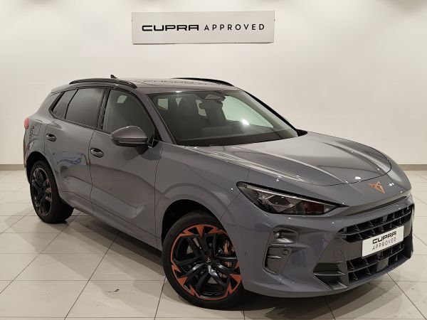 Cupra Terramar 2.0 TSI 195kW (265 CV) VZ DSG 4 Drive Launch Edition