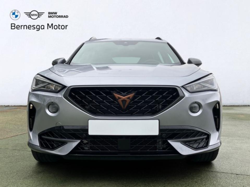 Cupra Formentor 2.0 TSI VZ 4Drive DSG 228 kW (310 CV)