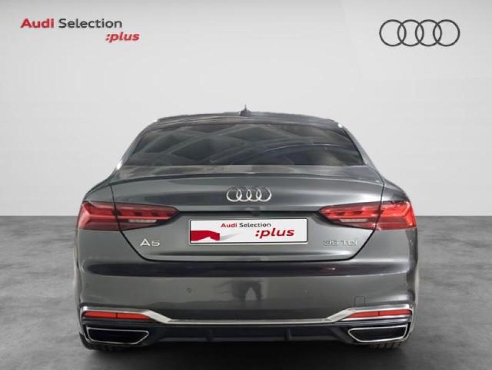 Audi A5 Sportback S Line 35 TDI 120 kW (163 CV) S tronic