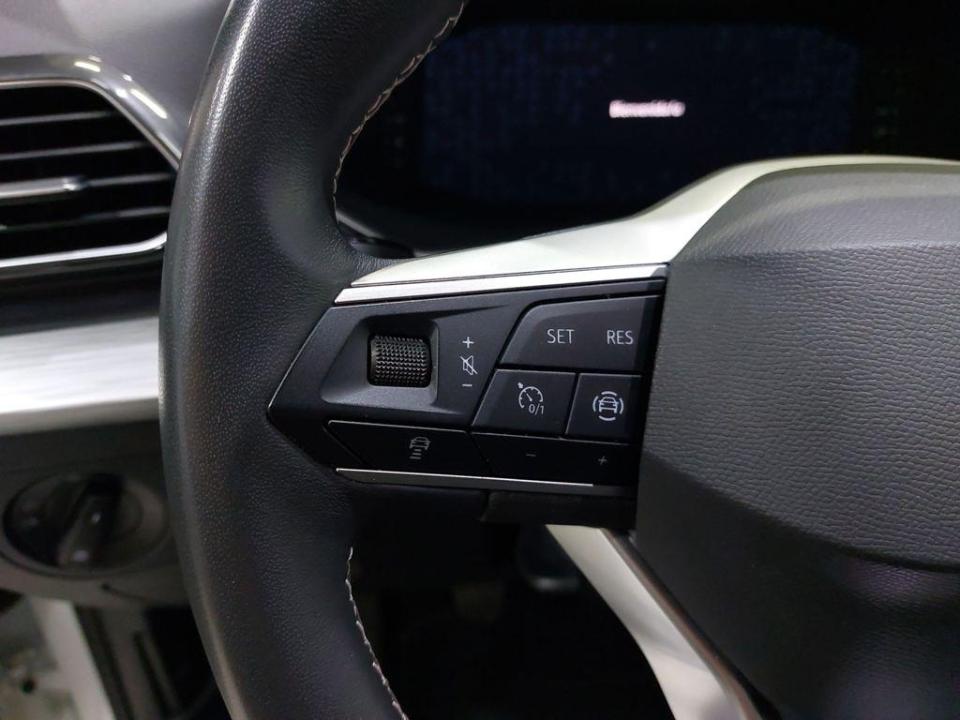 SEAT Tarraco 2.0 TDI S&S X-Perience 110 kW (150 CV)