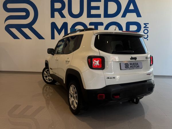 Jeep Renegade 2.0 Mjet Trailhawk 4x4 120 CV Active Dri