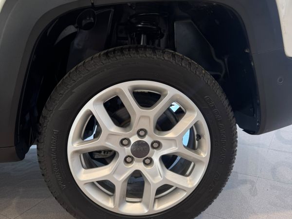 Jeep Renegade 2.0 Mjet Trailhawk 4x4 120 CV Active Dri