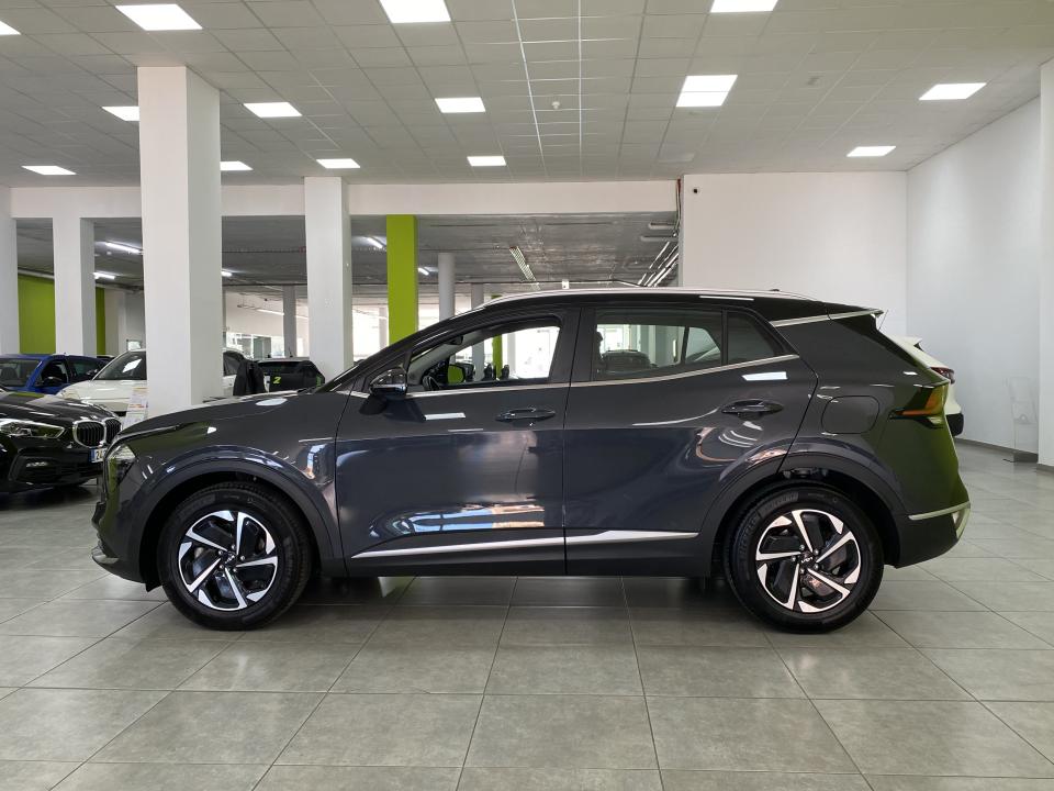 Kia Sportage Drive 4x2 1.6 T-GDI 150CV MHEV