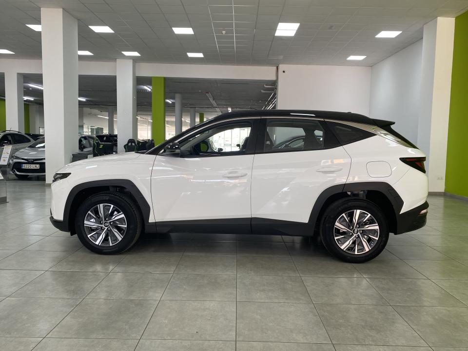 Hyundai Tucson Maxx 1.6 TGDI 230CV Auto HEV