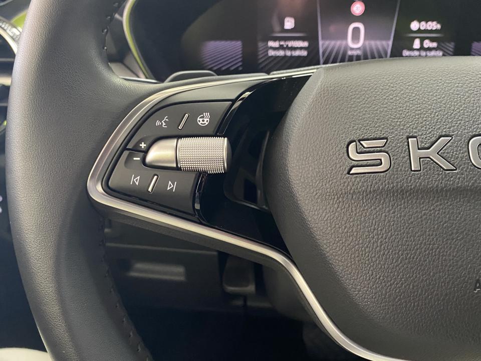 Skoda Fabia Selection 1.0 TSI 115CV DSG