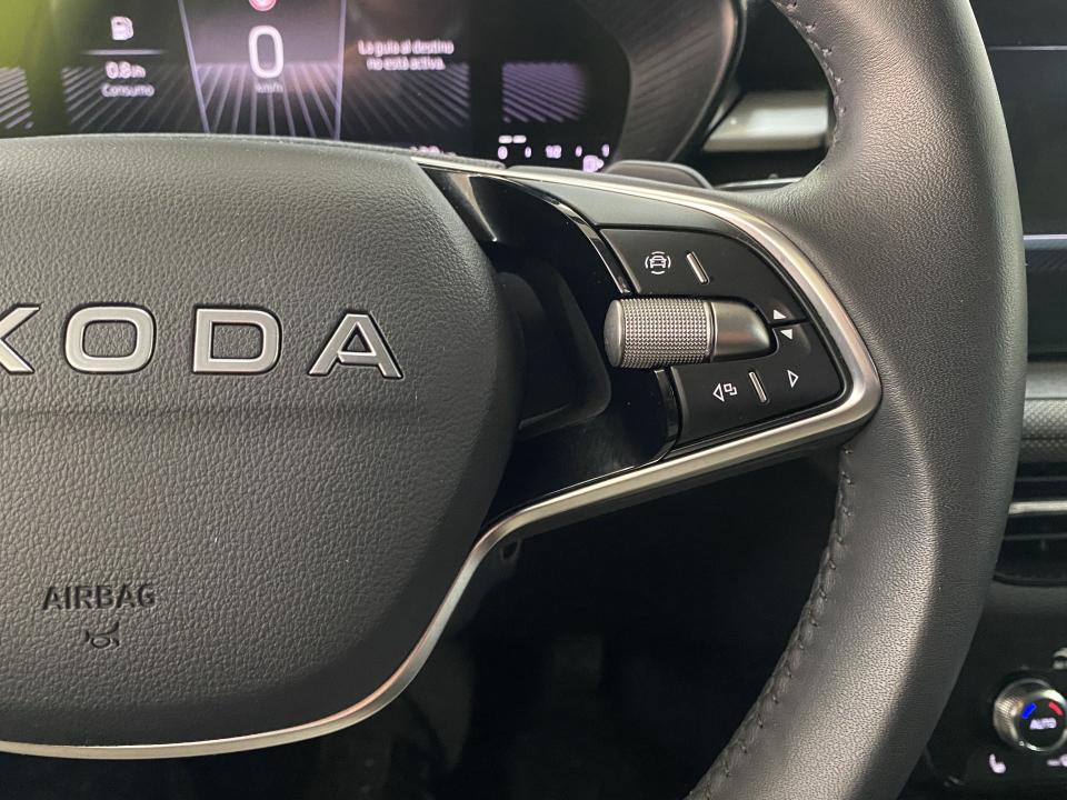 Skoda Fabia Selection 1.0 TSI 115CV DSG