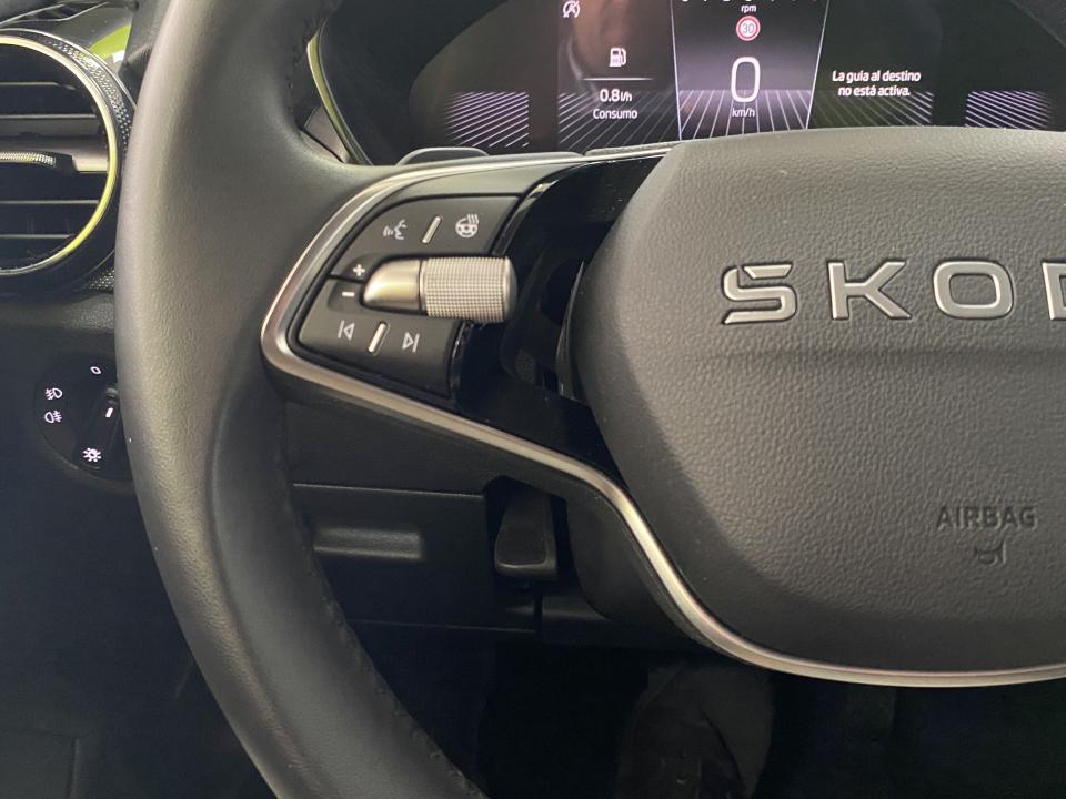 Skoda Fabia Selection 1.0 TSI 115CV DSG