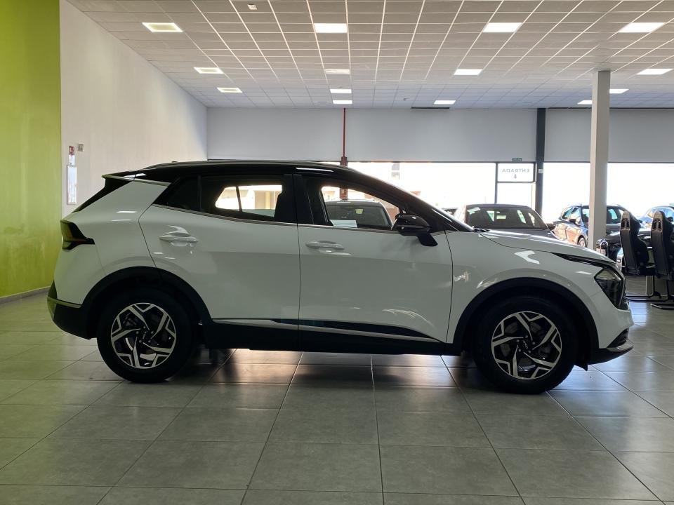 Kia Sportage Business 4x2 1.6 CRDI 136CV MHEV