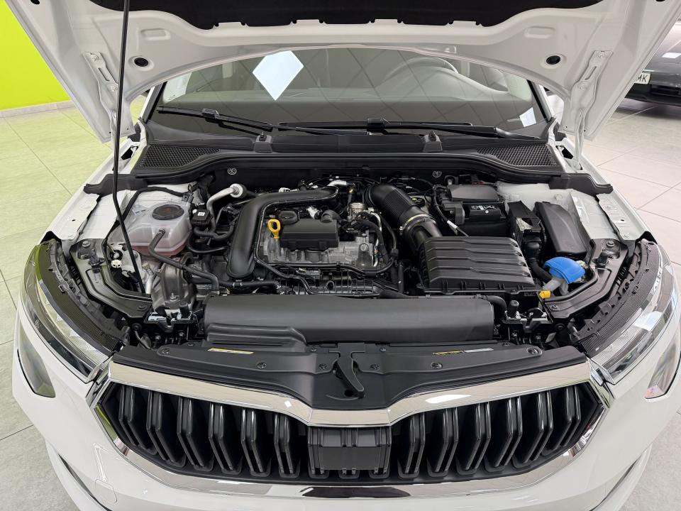 Skoda Kamiq Selection 1.0 TSI 115CV DSG