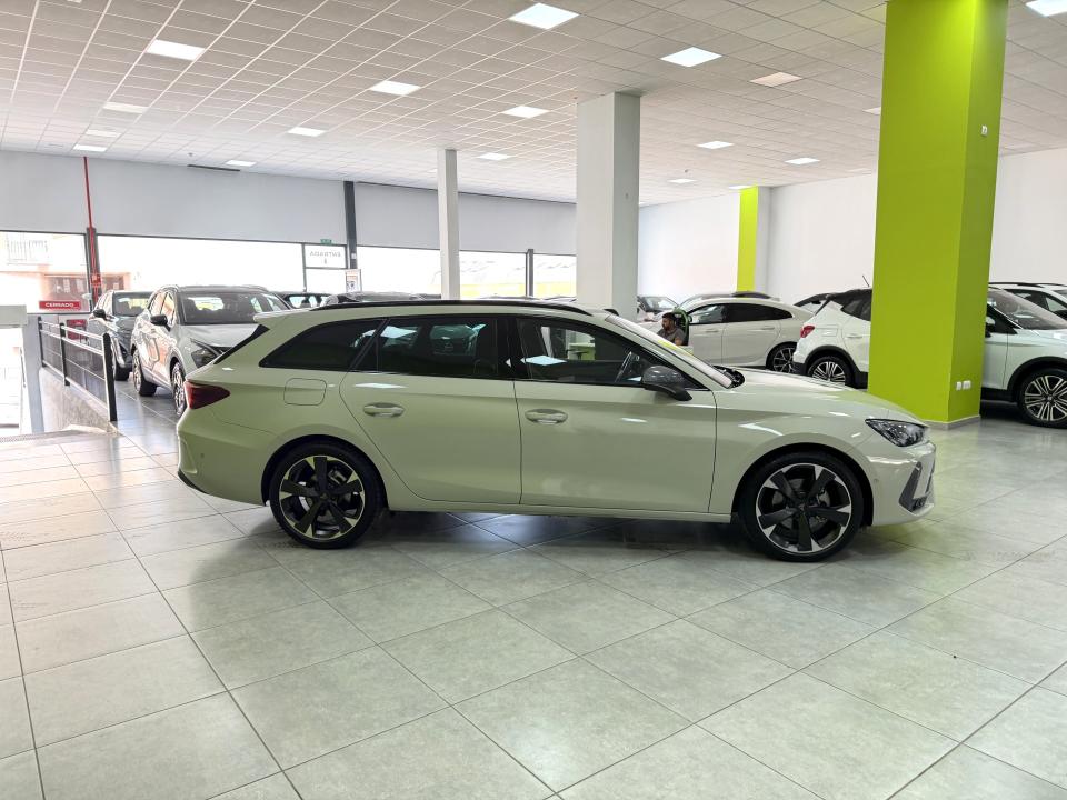Cupra León SP 1.5 eTSI 150CV DSG MHEV