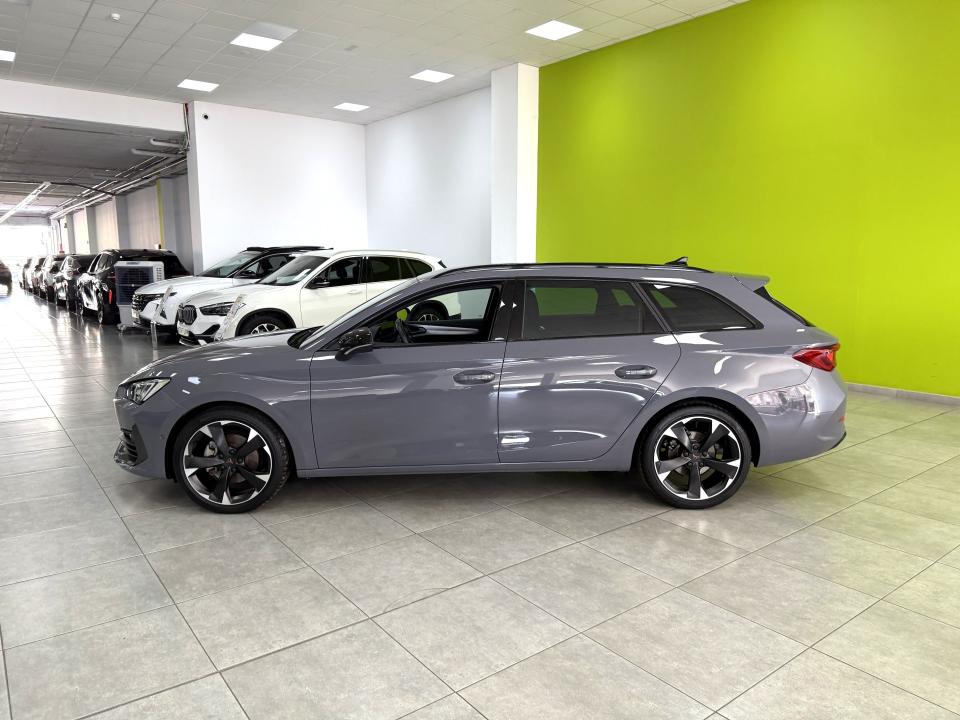 Cupra León SP 1.5 eTSI 150CV DSG MHEV