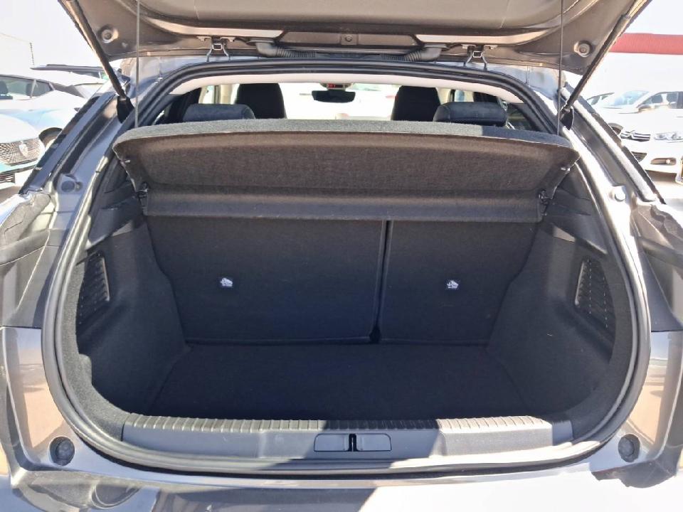 DS DS 3 PureTech 74kW (100CV) Performance Line