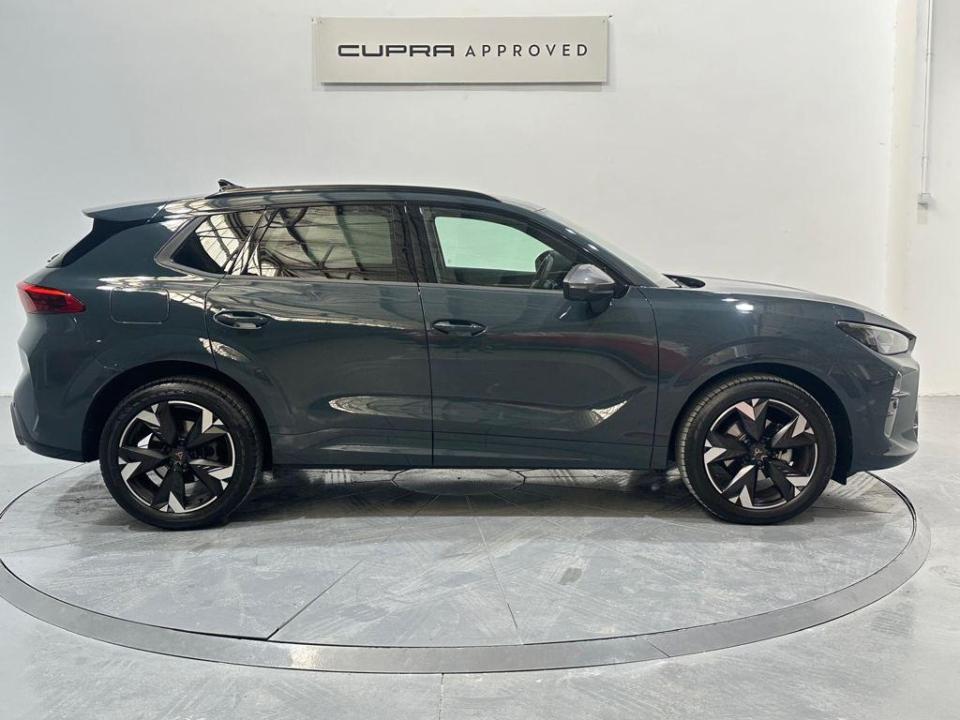 Cupra Terramar 1.5 eTSI DSG 110 kW (150 CV)